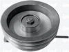 IPD 15-3342 Tensioner Pulley, V-belt